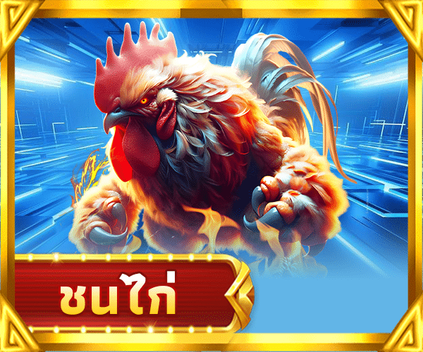 ชนไก่